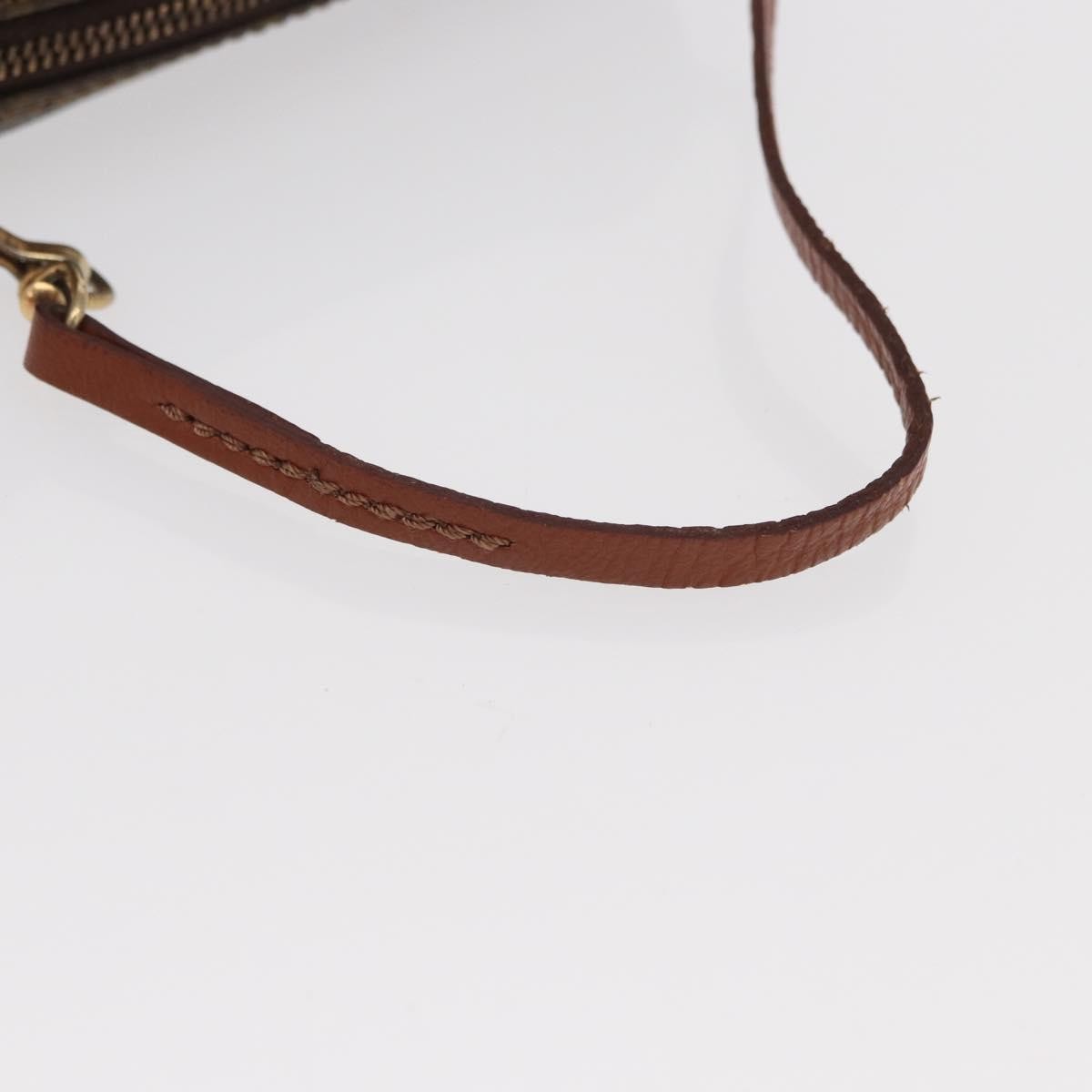 Louis Vuitton Papillon Pochette Monogram Canvas Brown Canvas Clutche & Pouche Bag (Pre-Owned)