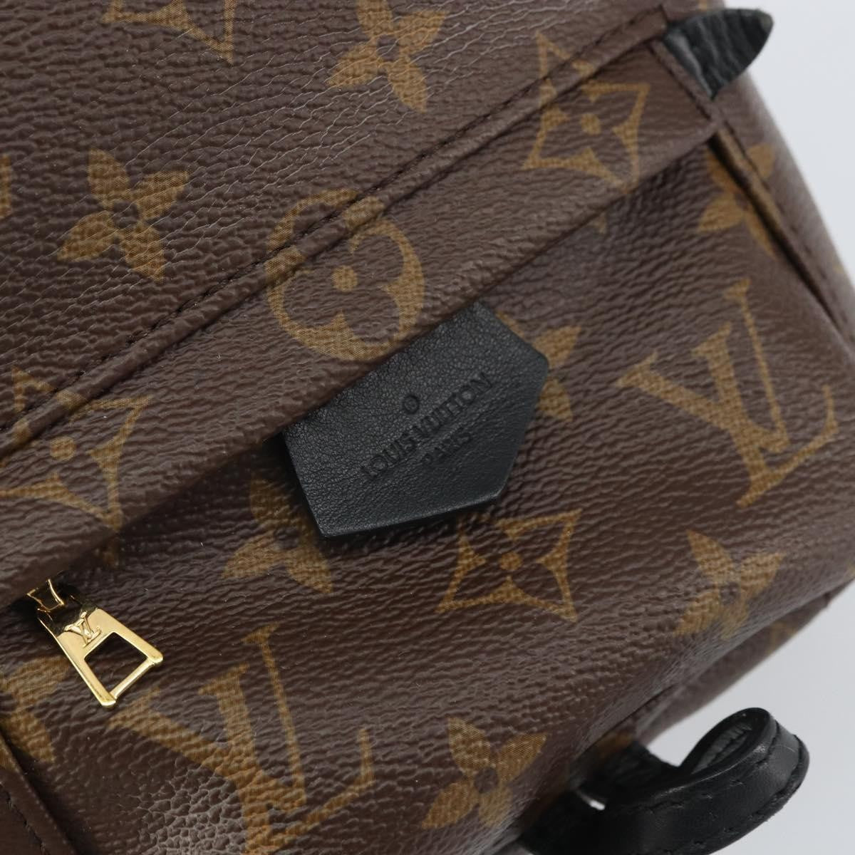 Louis Vuitton Palm Springs Backpack Monogram Canvas Brown Canvas Backpack Bag (Pre-Owned)