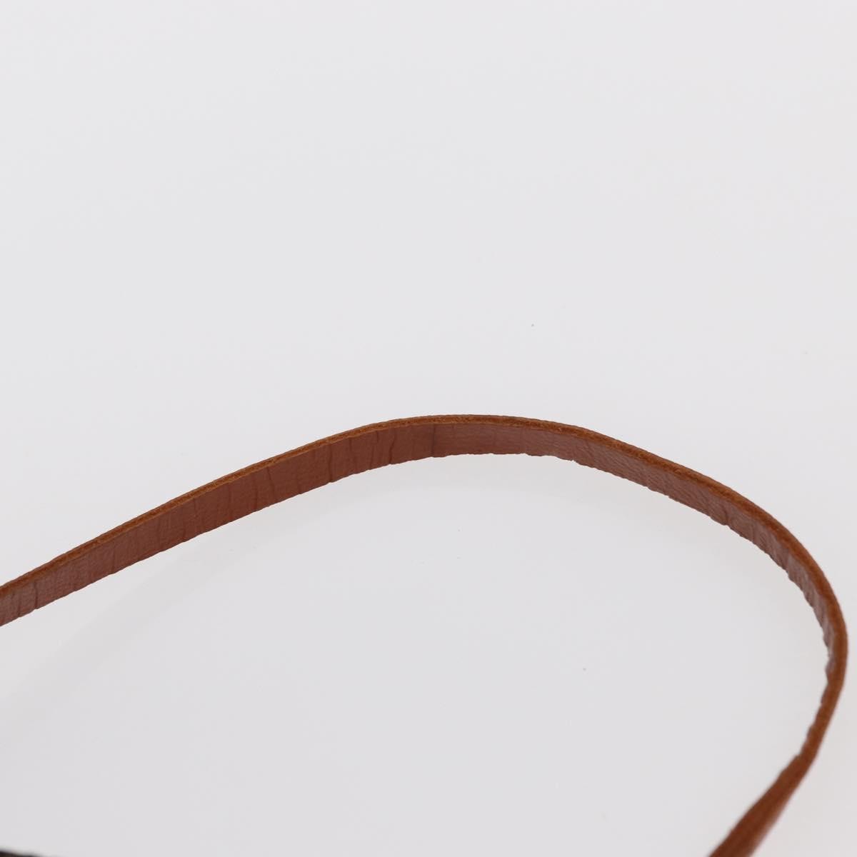 Louis Vuitton Papillon Pochette Monogram Canvas Brown Canvas Clutche & Pouche Bag (Pre-Owned)