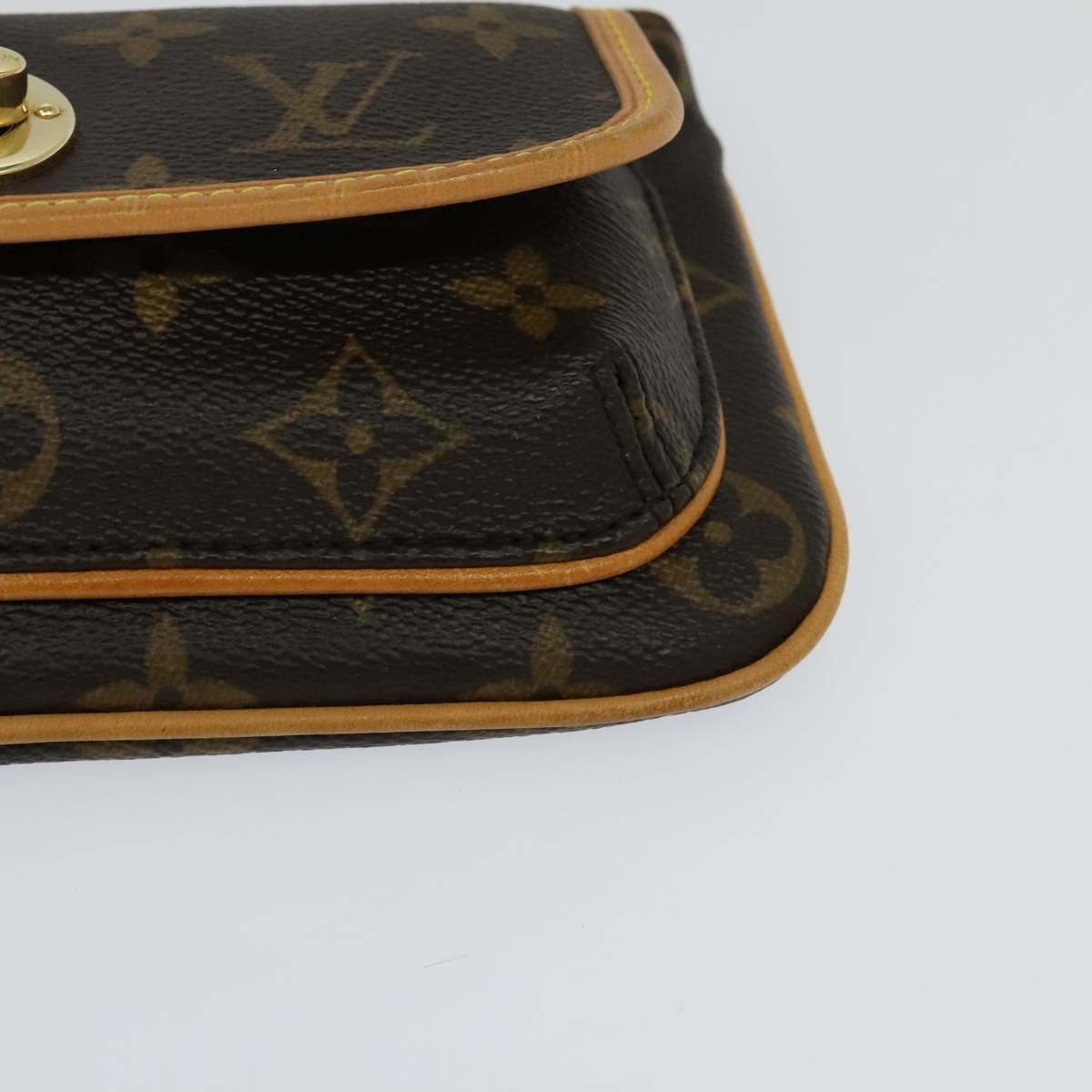 Louis Vuitton Tikal Wristlet Pochette Monogram Canvas Brown Canvas Bag (Pre-Owned)